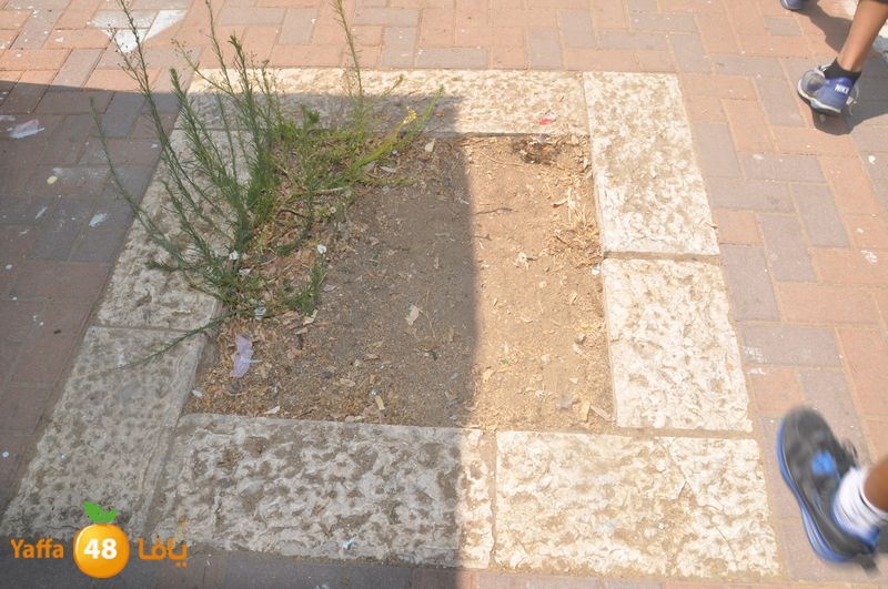 af3a lud 902 school (37).JPG